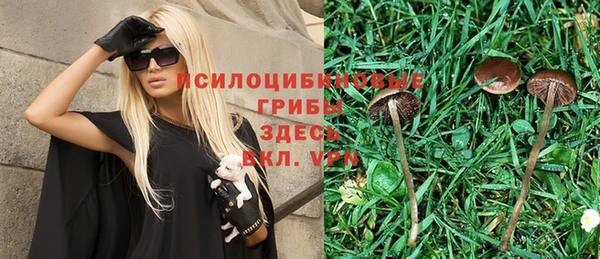 прущая мука Алексин