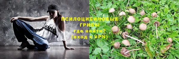 стаф Пестово
