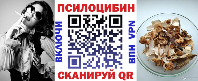 Галлюциногенные грибы Psilocybe  Калтан 